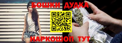 тгк Шебекино