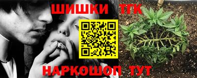 тгк Шебекино