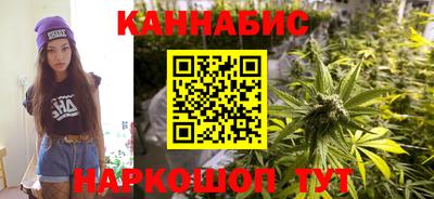 тгк Шебекино