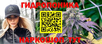 тгк Шебекино