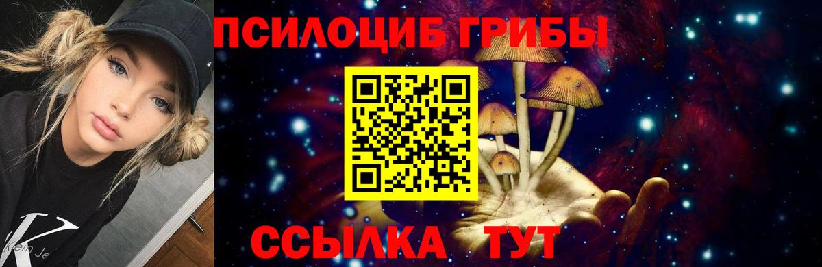 Псилоцибиновые грибы мицелий  Вход с VPN  Псилоцибиновые грибы мухоморы  Ачхой-Мартан 